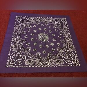 HAVE-A-HANK PURPLE CRYSTAL EMBELLISHED BANDANA NWOT